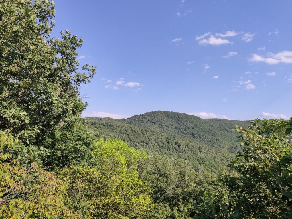 Château de Pflixbourg