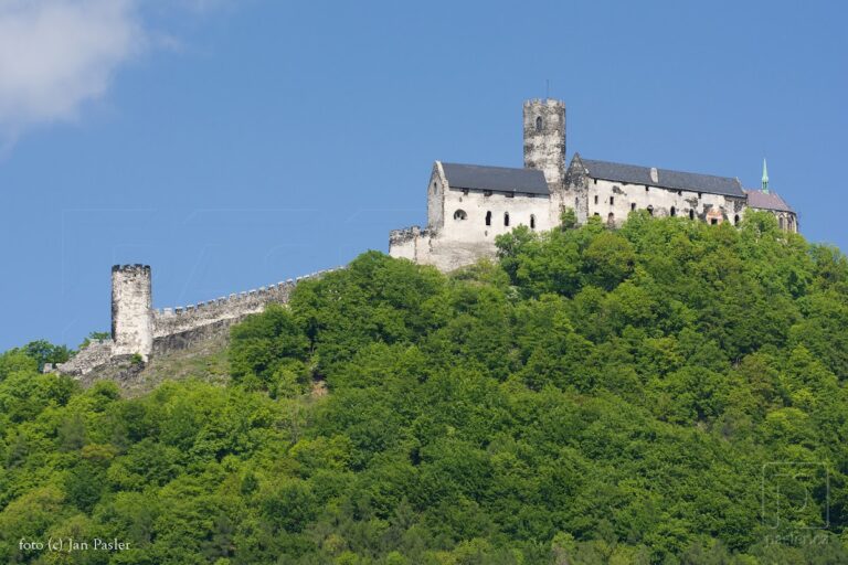 Bezděz Castle: A Medieval Czech Fortress and Monastic Site