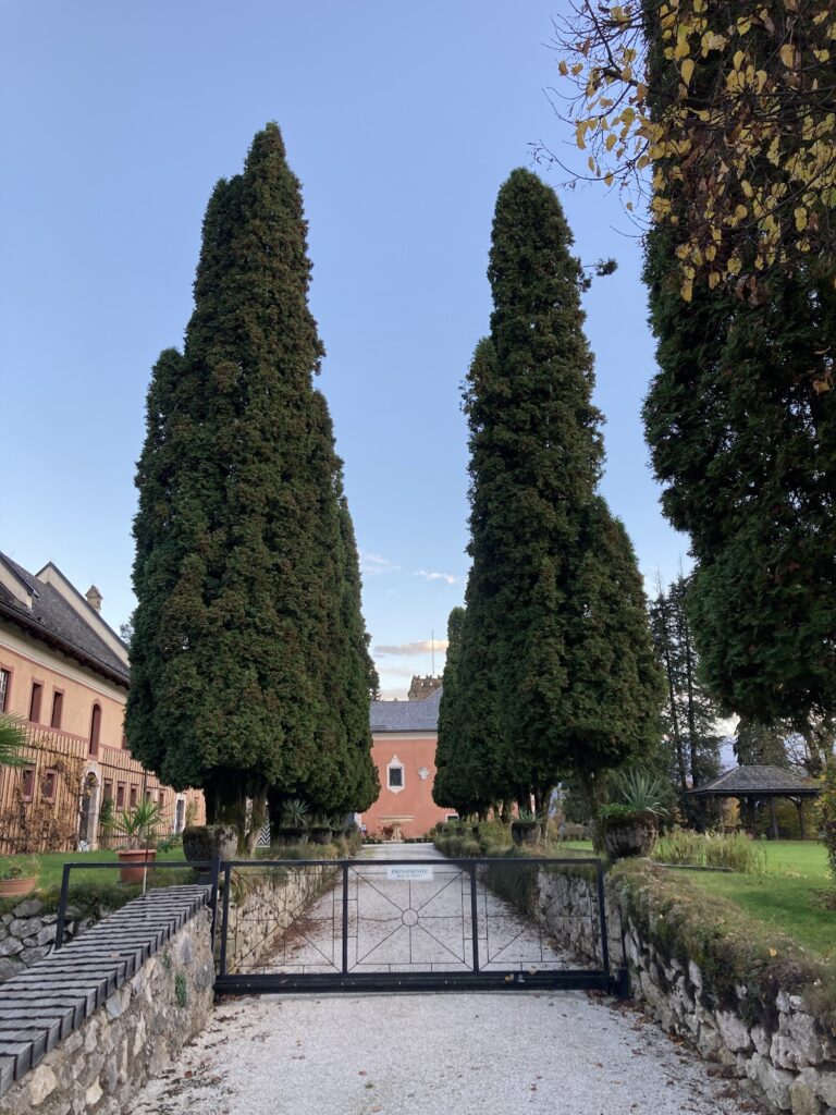 Wasserleonburg: A Historic Castle in Austria 6 Wasserleonburg