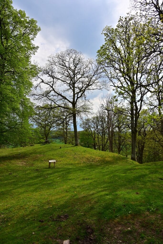 Örestens fästning: A Medieval Frontier Castle in Sweden 4 Örestens fästning