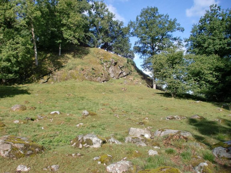 Örestens fästning: A Medieval Frontier Castle in Sweden