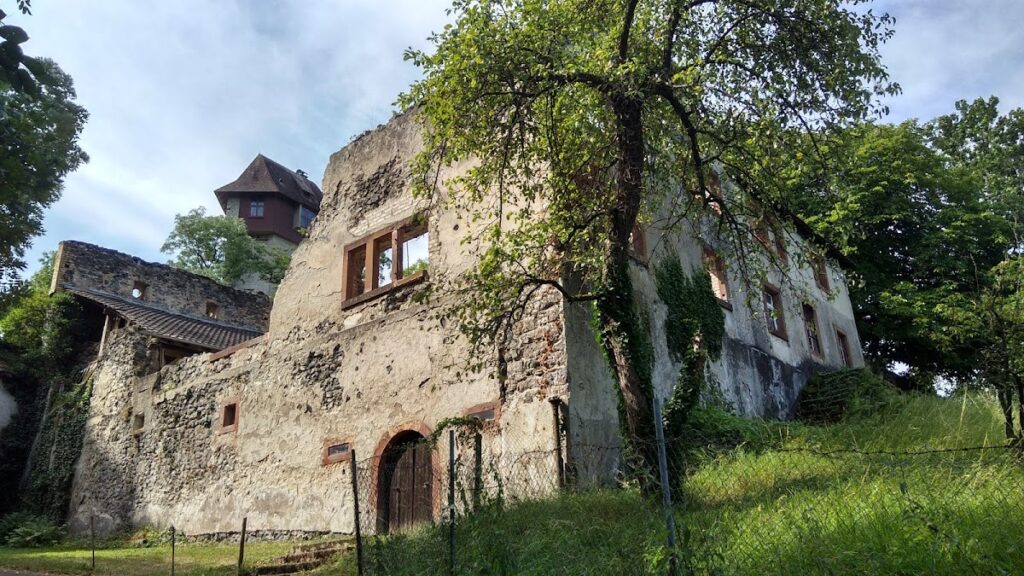 Burg Sponeck: A Roman and Medieval Fortress on the Rhine in Germany 8 Burg Sponeck in Sasbach