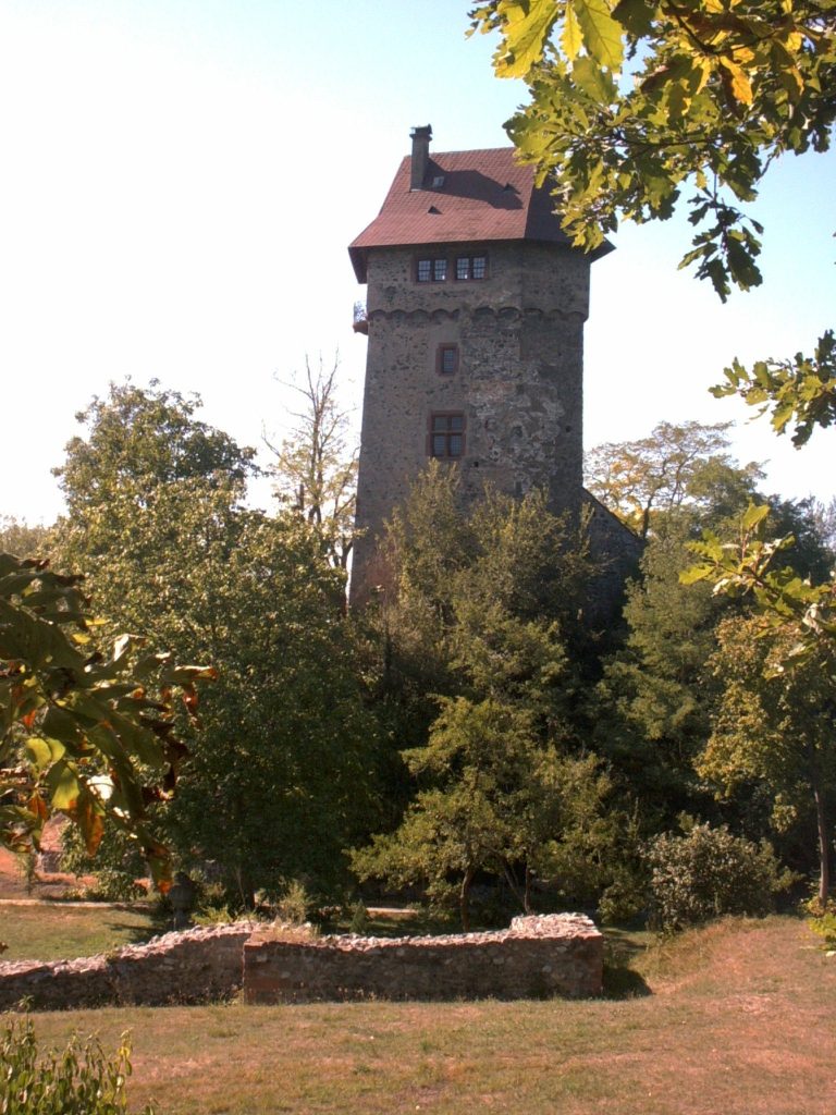 Burg Sponeck in Sasbach: Medieval Castle and Roman Frontier Fort