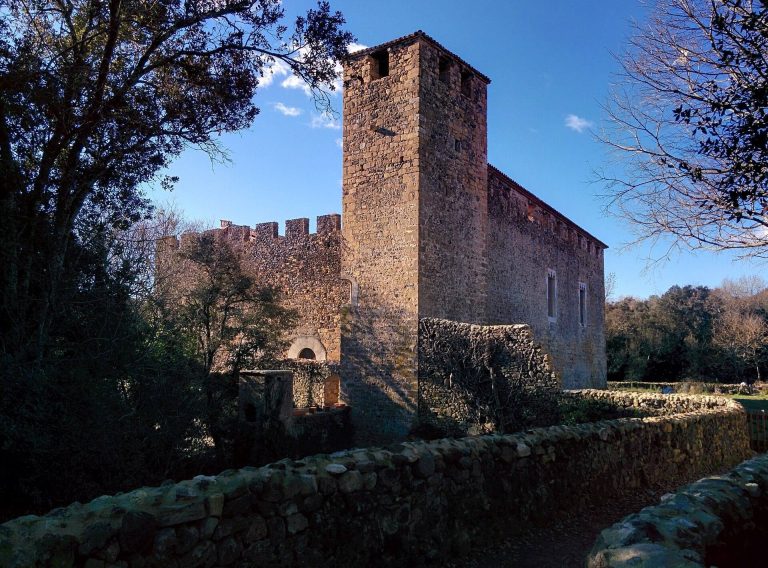 Castell de Cartellà: A Territorial Castle in Spain
