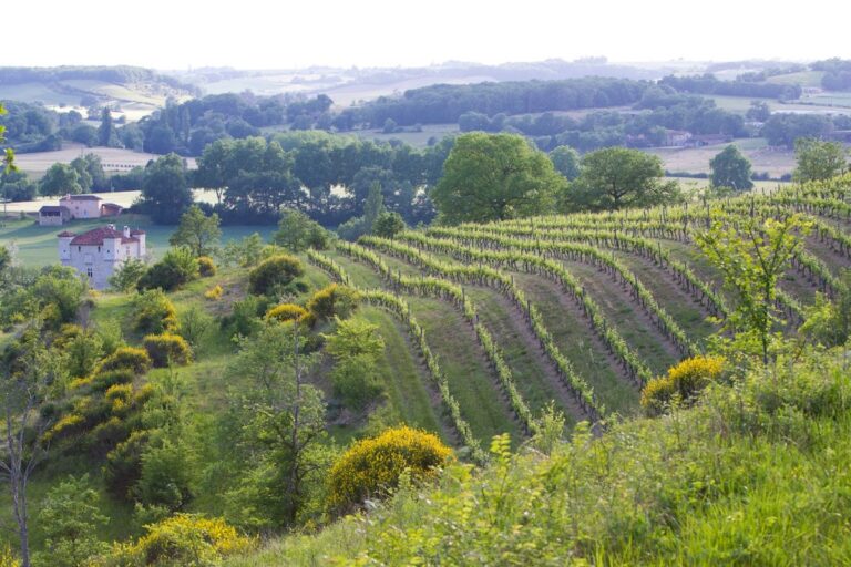 Château de Herrebouc: A Medieval Fortress in Saint-Jean-Poutge, France
