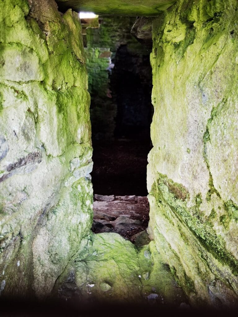 Threecastles Castle: A Sixteenth-Century Tower House in Ireland 2 Threecastles Castle