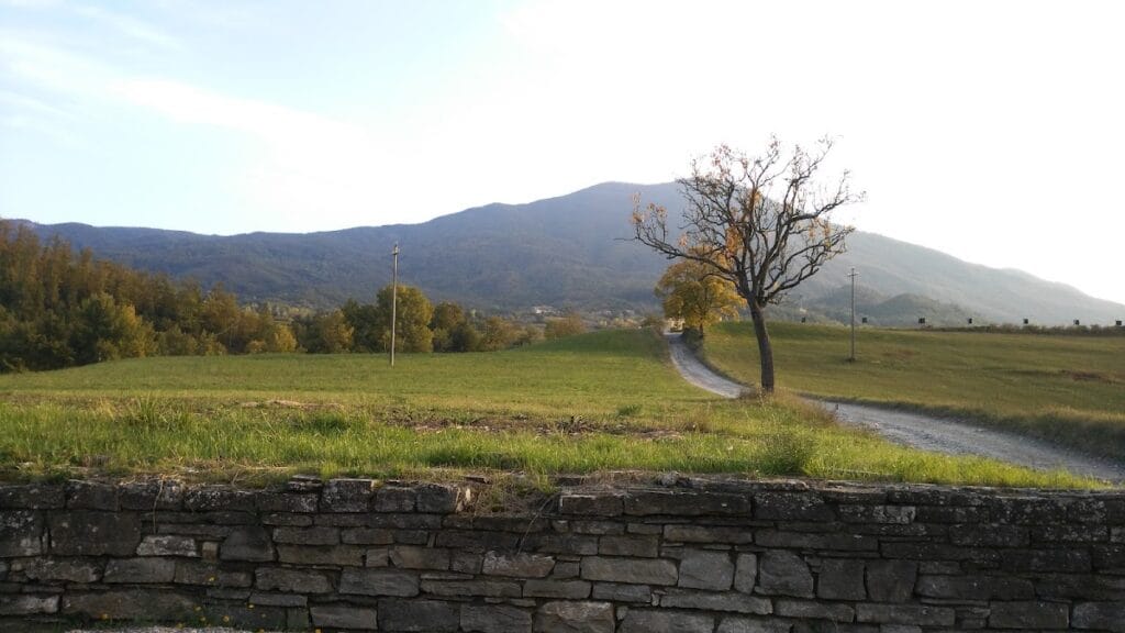 Castle of Golaso: A Medieval Fortified Manor in Italy 5 Castle of Golaso
