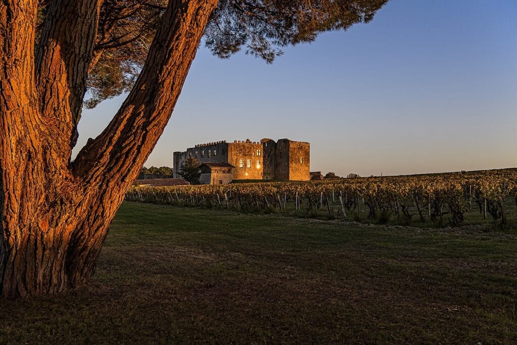 Château de Fargues: A Medieval Fortress and Wine Estate in France 1 Château de Fargues