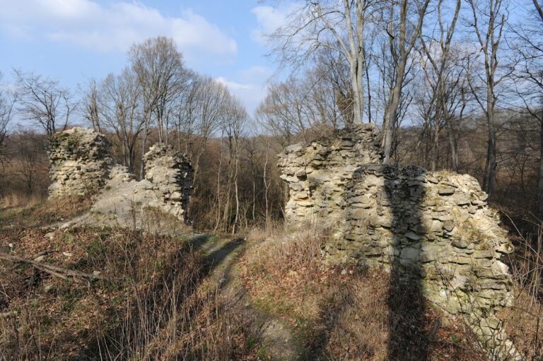 Gerencsérvár: A Medieval Fortified Residence in Oroszlány, Hungary