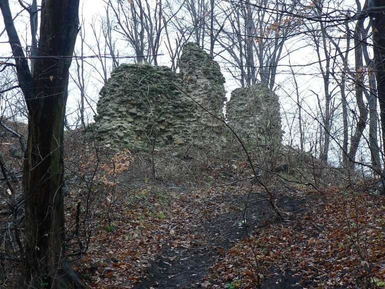 Gerencsérvár: A Medieval Hungarian Residential Tower and Hunting Estate