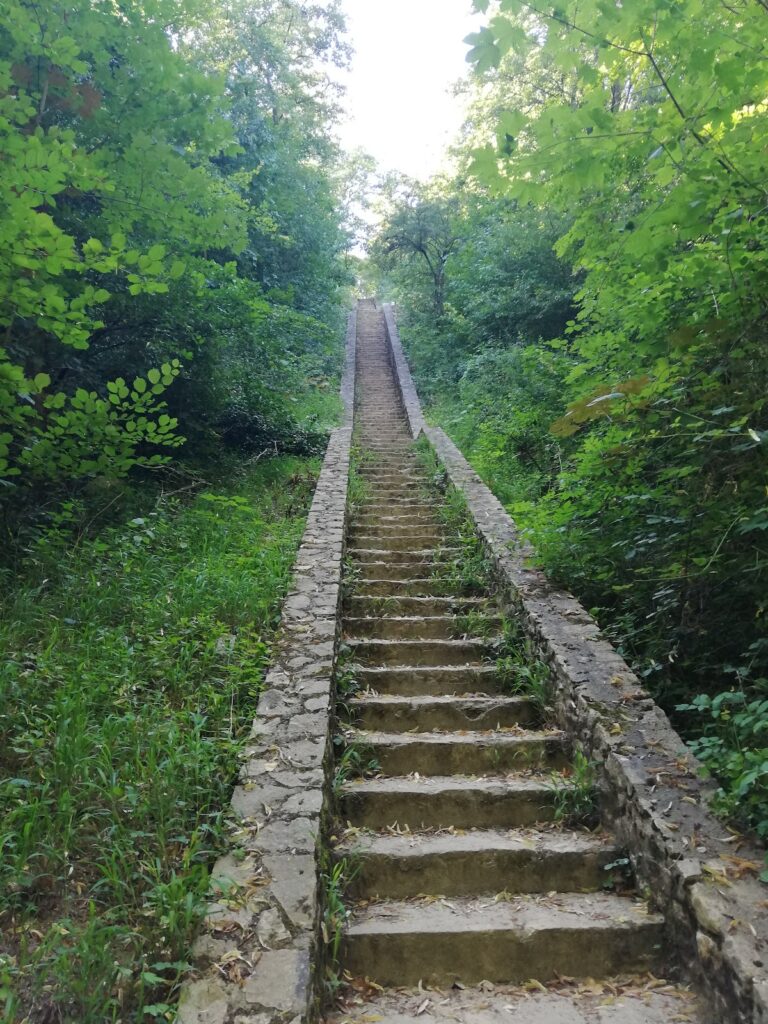Château de la Trolanderie: A Historic Castle in Curis-au-Mont-d'Or, France 6 Château de la Trolanderie
