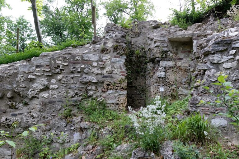 Kocherburg: A Historic Castle Ruin near Aalen, Germany