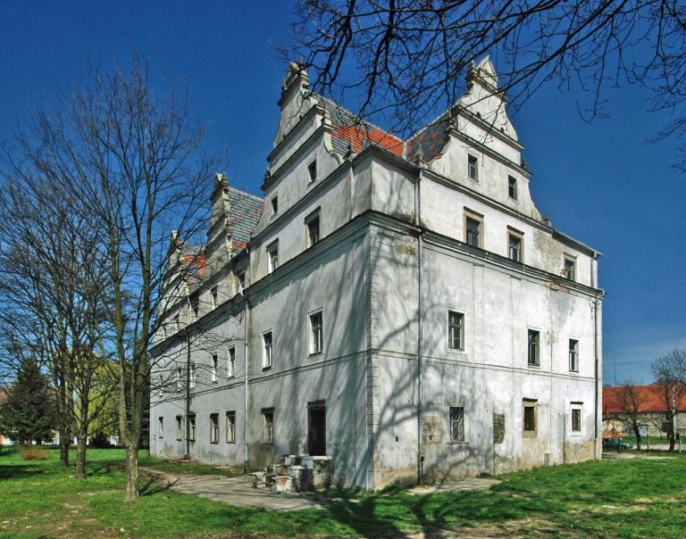 Manor in Wilków Wielki: A Historic Estate Residence in Poland