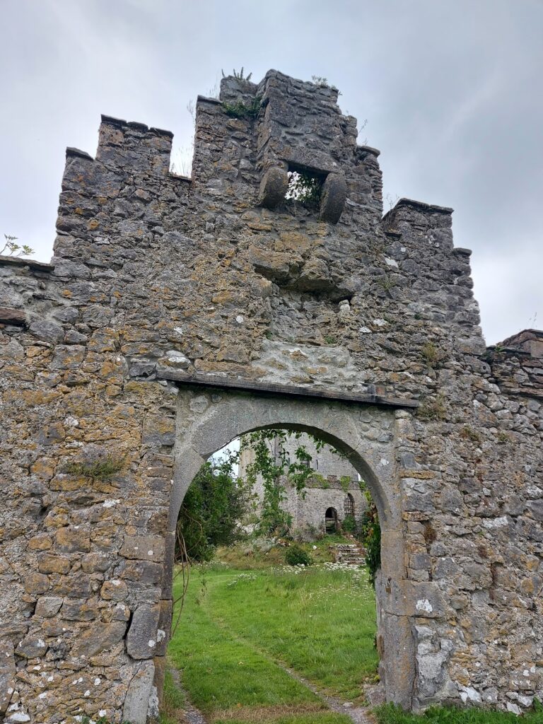 Clonony Castle: A Tudor Tower House in Ireland 7 Clonony Castle