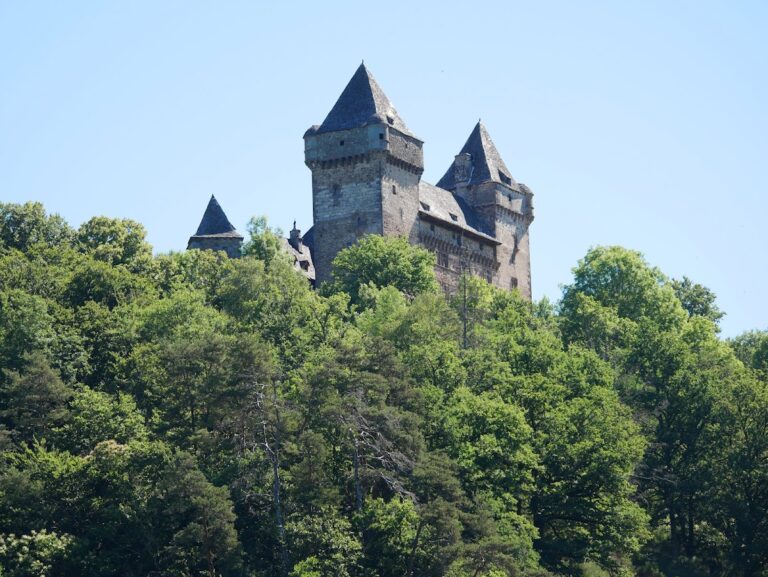 Château de Messilhac: A Historic Castle in Raulhac, France