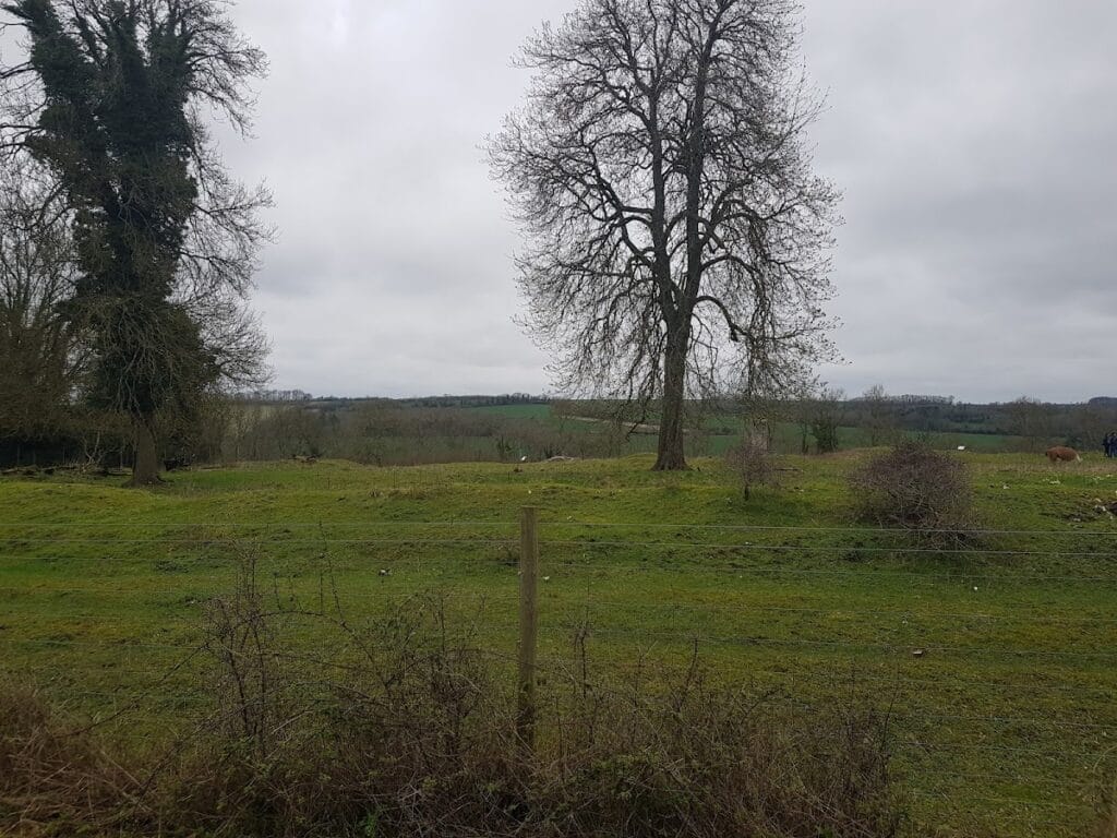 Clarendon Palace: A Medieval Royal Residence near Salisbury 3 Clarendon Palace