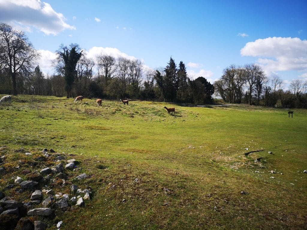 Clarendon Palace: A Medieval Royal Residence near Salisbury 5 Clarendon Palace