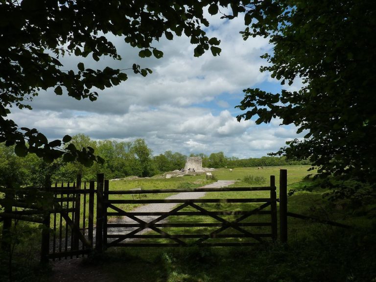 Clarendon Palace: A Medieval Royal Residence near Salisbury