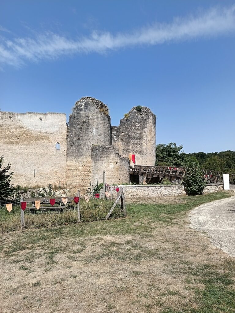 Château de Gençay: A Medieval Fortress in France
