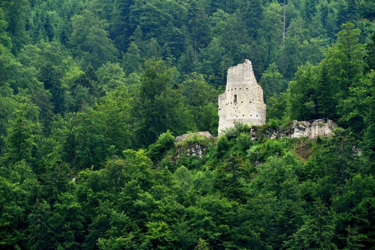 Erguel Castle: A Medieval Fortress in Switzerland