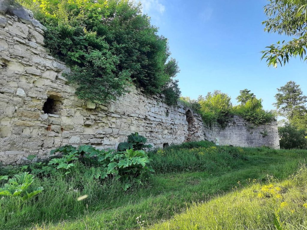 Zaliztsi Castle: A Ruined Defensive Stronghold in Ukraine 4 Zaliztsi Castle