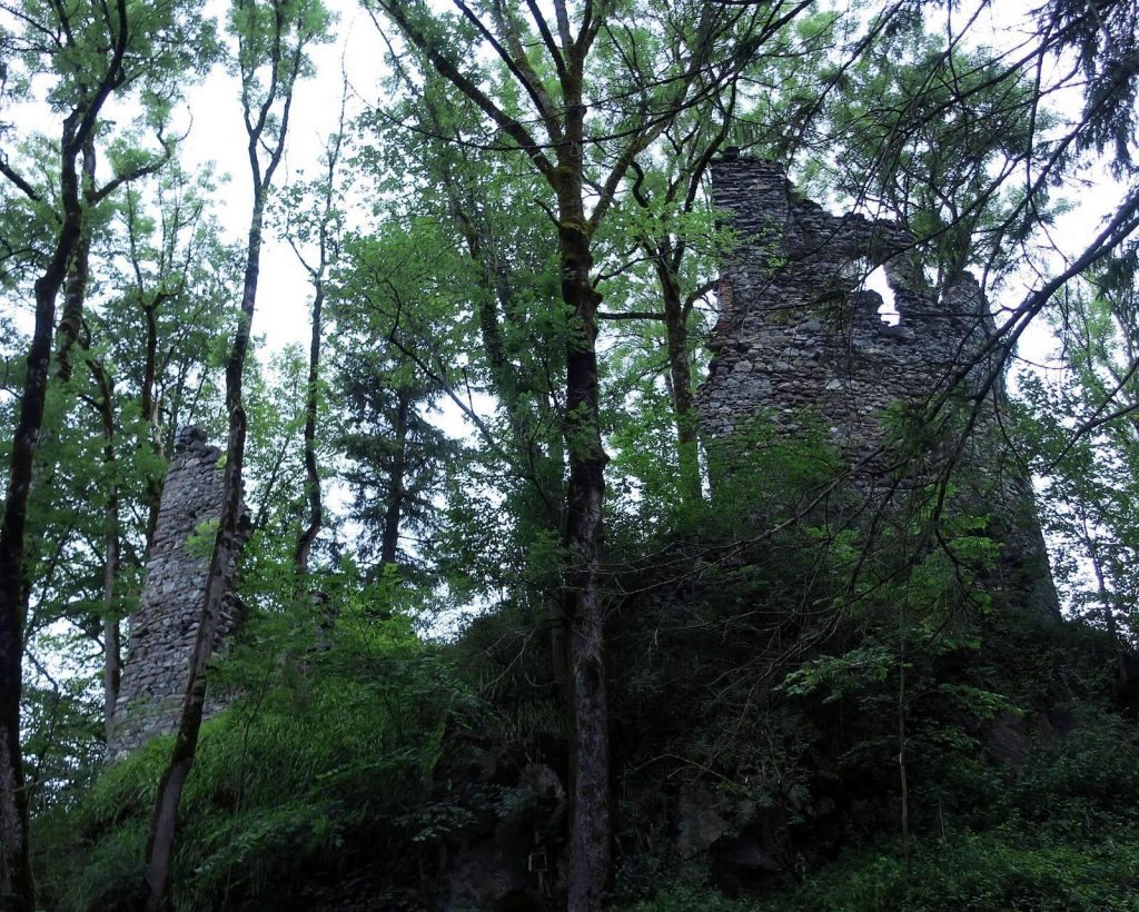 Fluhenstein Castle: A Medieval Lordship and Administrative Seat in Germany 1 Burg Fluhenstein