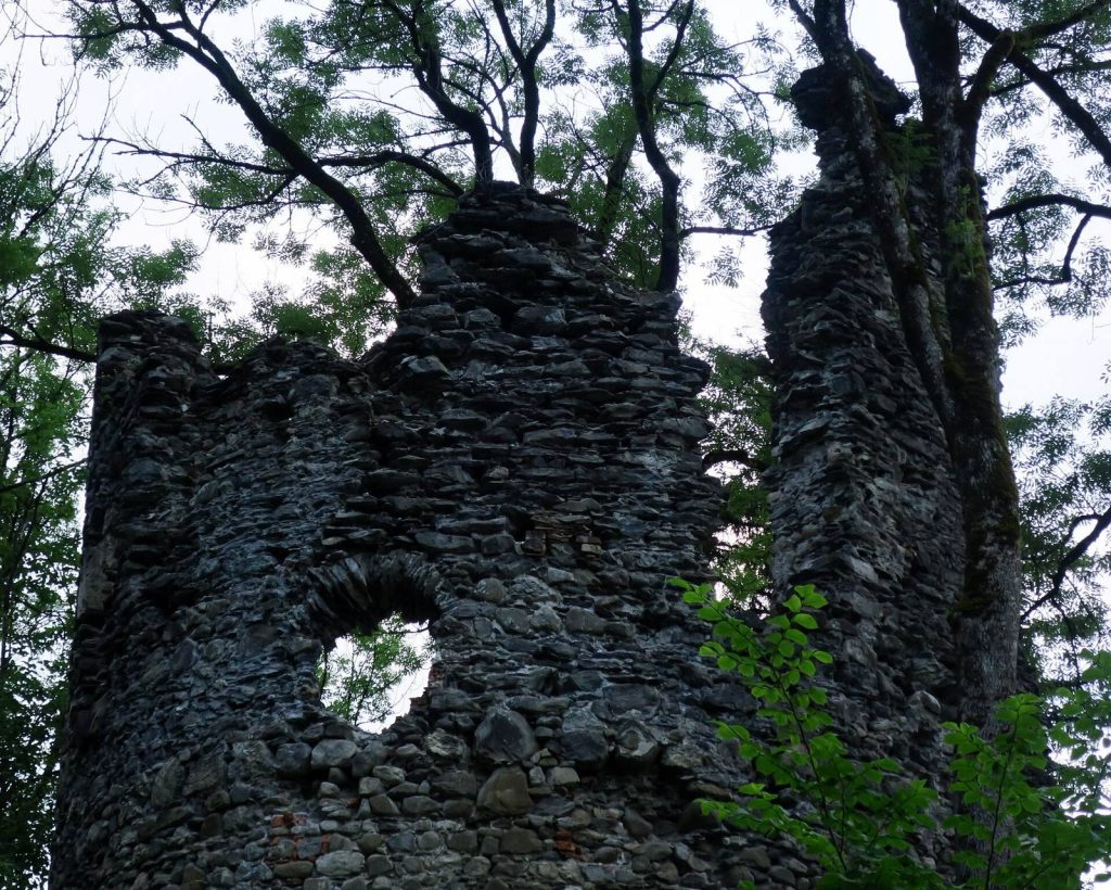 Fluhenstein Castle: A Medieval Lordship and Administrative Seat in Germany 2 Burg Fluhenstein