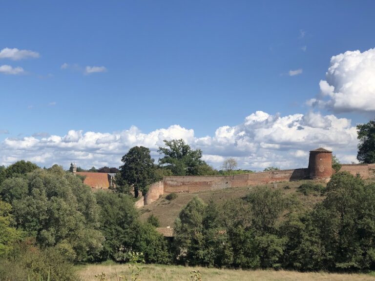 Château de Châtillon-sur-Chalaronne: A Medieval Fortress in France