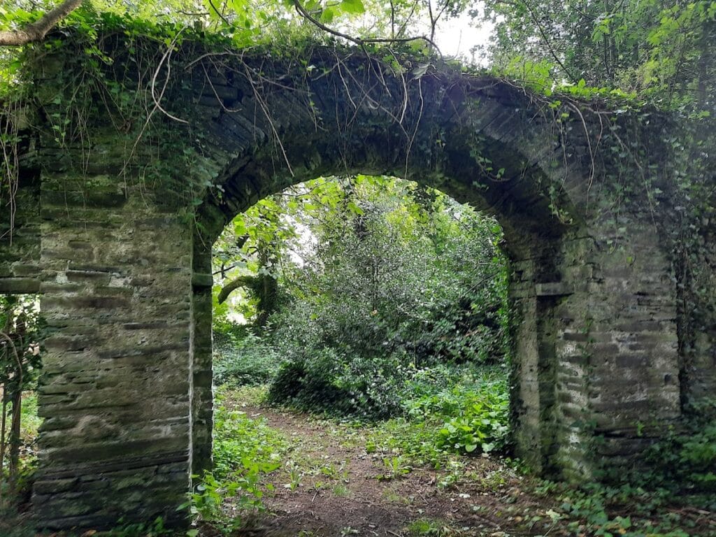Shankill Castle: A Historic Country House in County Kilkenny 4 Shankill Castle