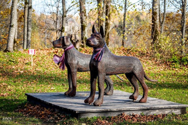 Ērgļi Castle: A Medieval Fortress in Latvia