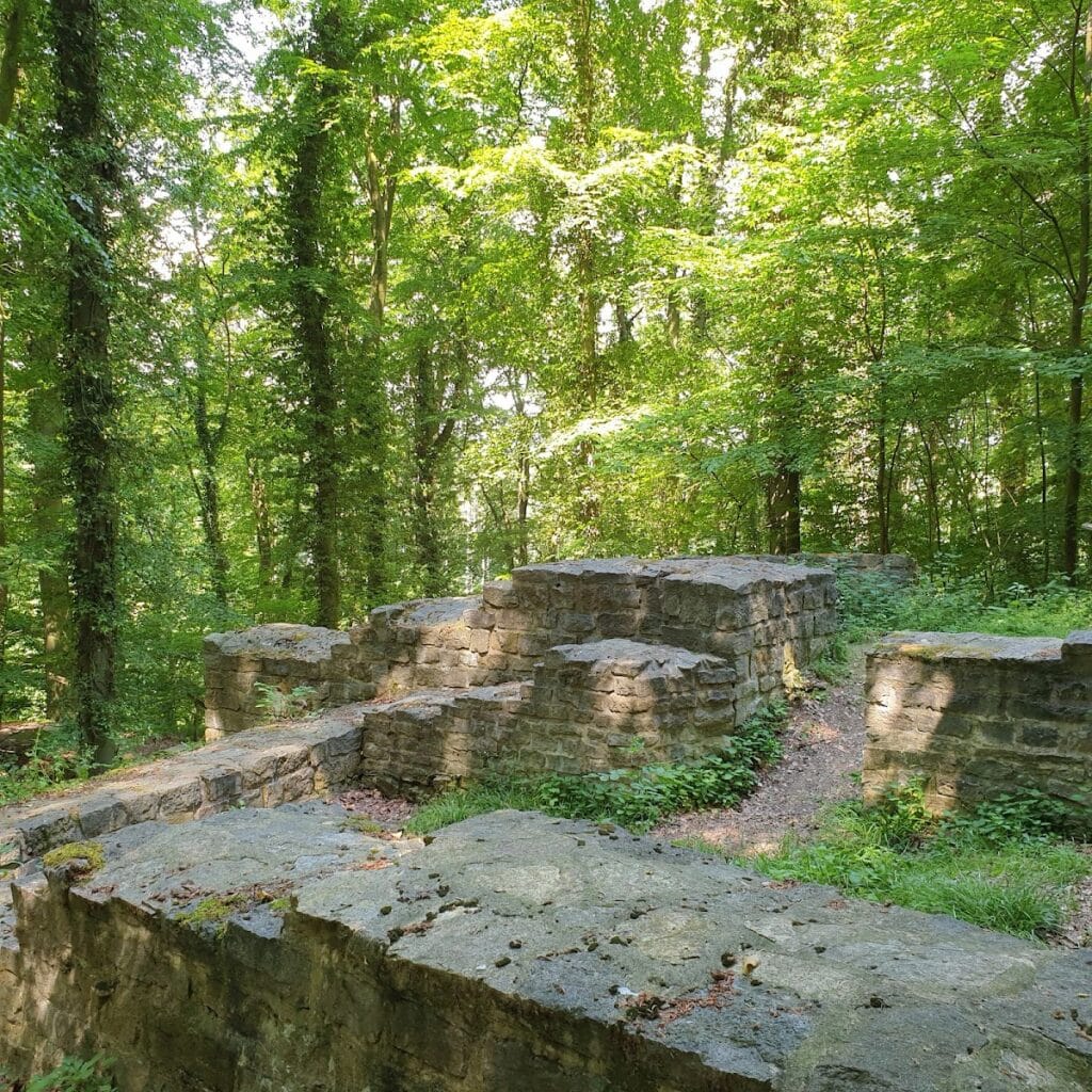 Holter Burg: A Medieval Hill Castle in Germany 1 Holter Burg
