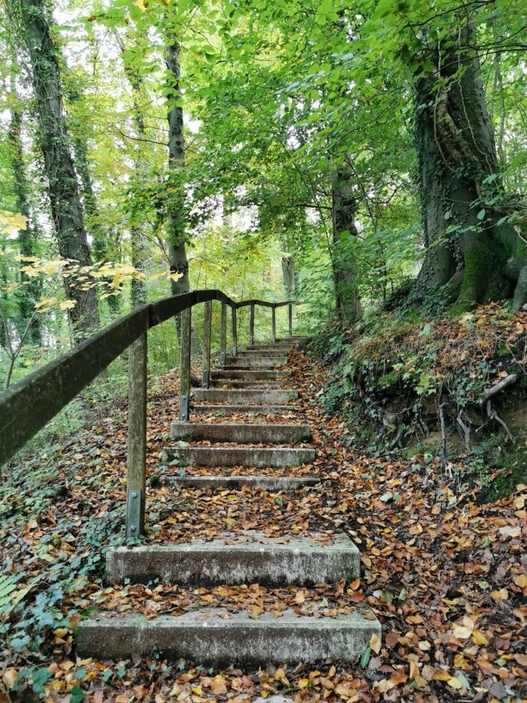 Holter Burg: A Medieval Hill Castle in Germany 3 Holter Burg