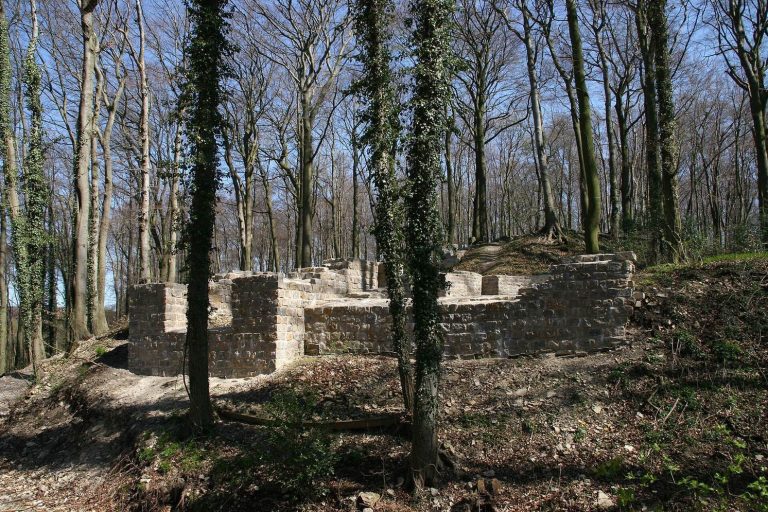 Holter Burg: A Medieval Hill Castle in Germany