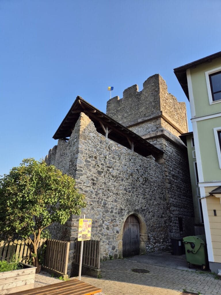Puchberg Castle Ruins: A Medieval Hilltop Castle in Austria 4 Burgruine Puchberg
