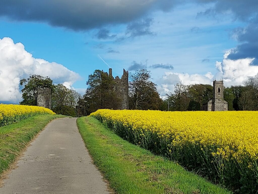 Burnchurch Castle: A Norman Tower House in County Kilkenny 4 Burnchurch Castle