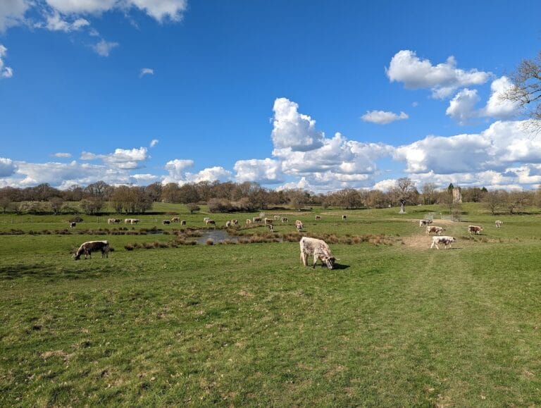Knepp Castle: A Medieval Motte Castle in West Sussex