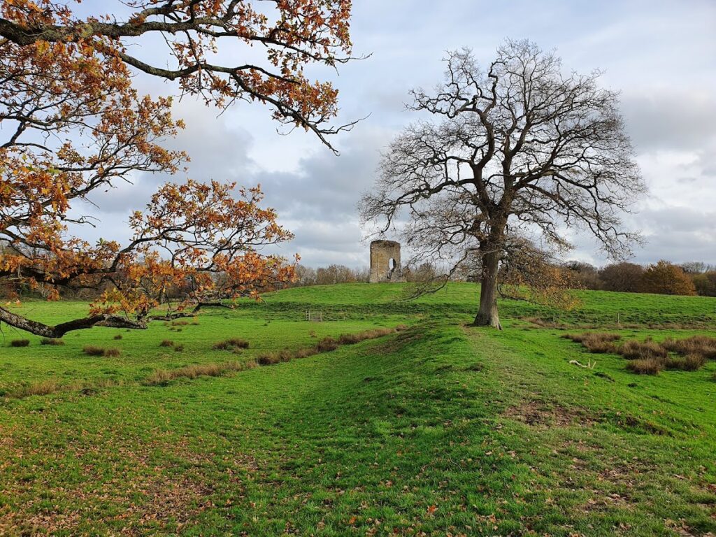 Knepp Castle