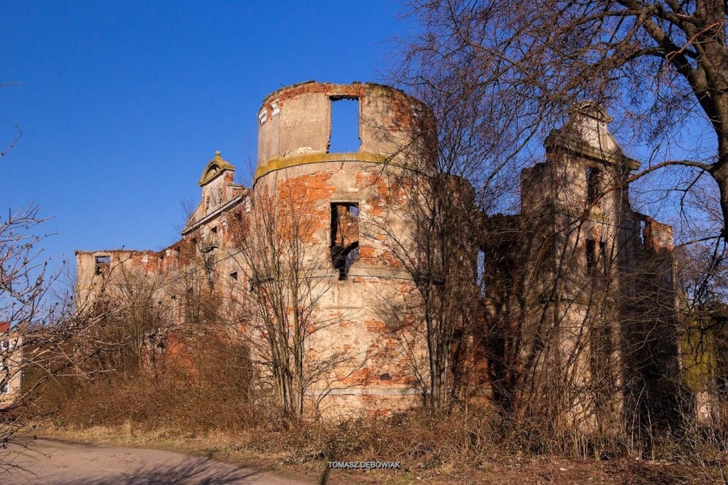 Ruins of the Baroque Castle in Czernina, Poland 4 Ruins of Baroque Castle in Czernina