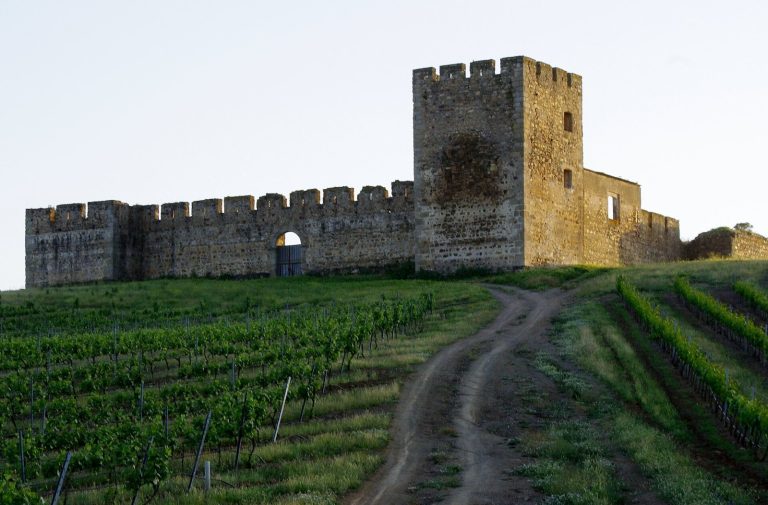 Castle of Valongo: A Medieval Fortress in Portugal
