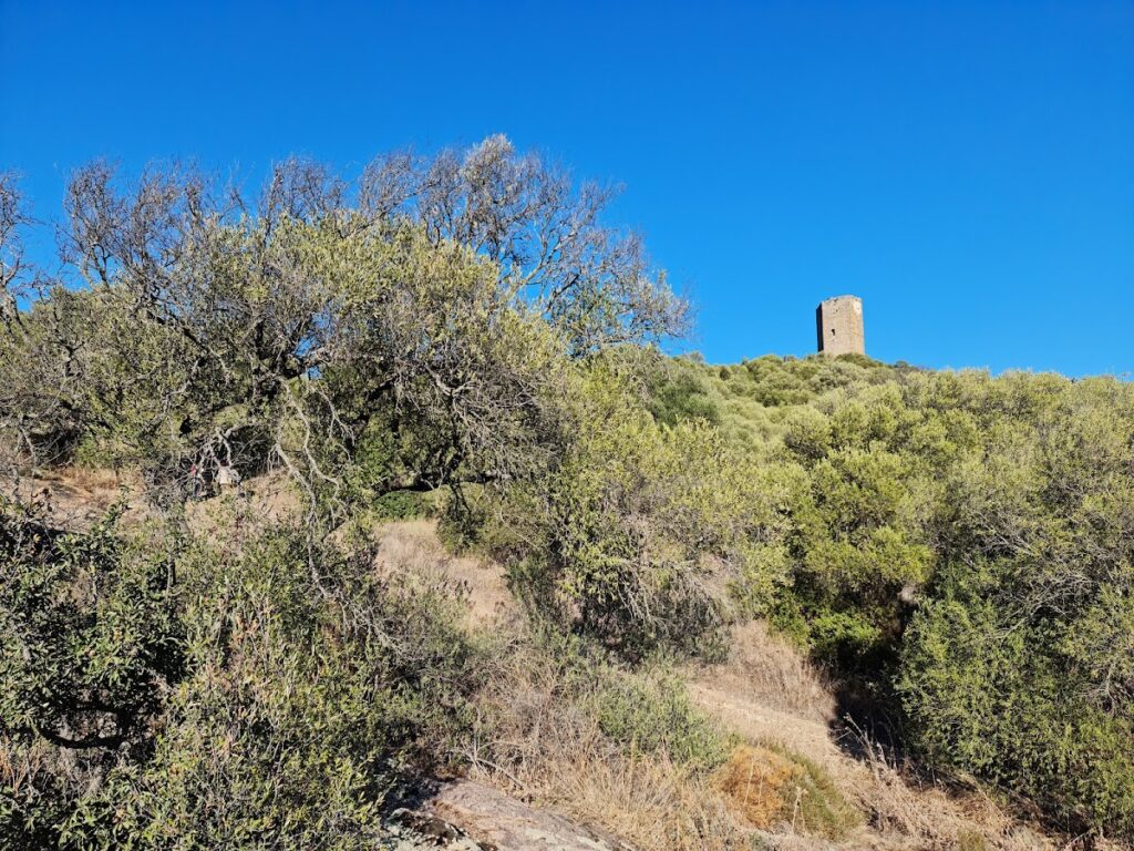 Castello di Santa Maria Coghinas