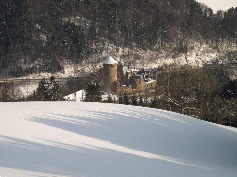 Burg Wildberg: A Medieval Castle and Palace Complex in Austria
