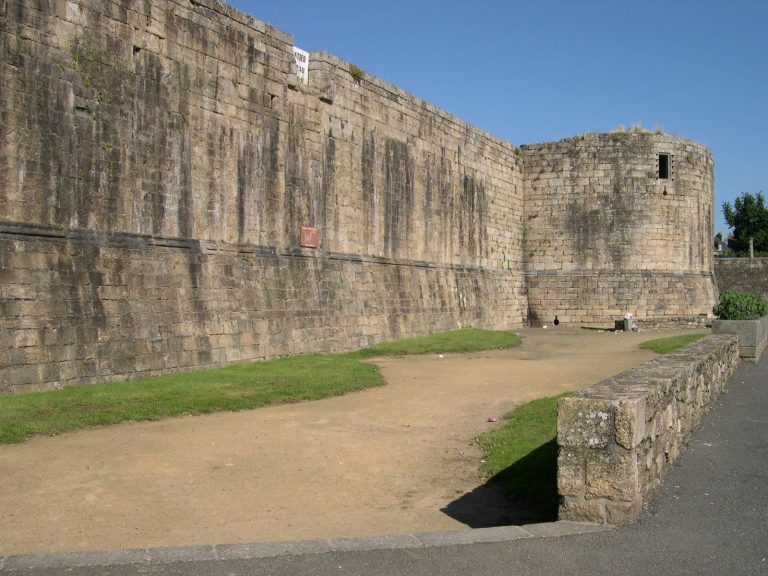 Château de Pierre II: A Medieval Fortified Castle in France