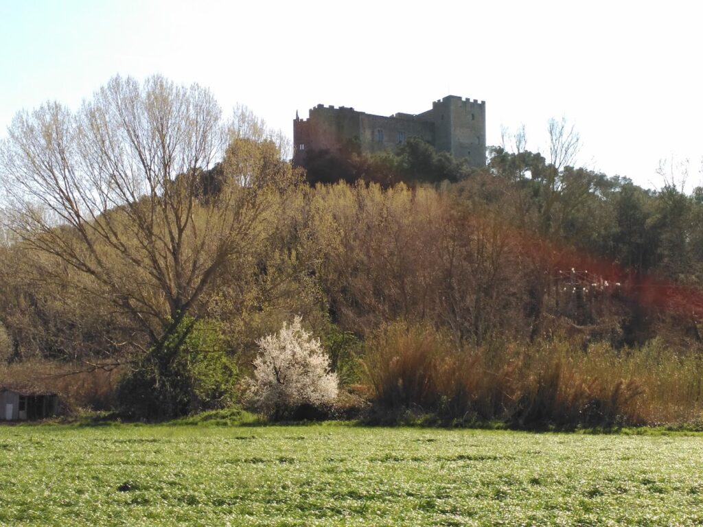 Castell de la Roca del Vallès