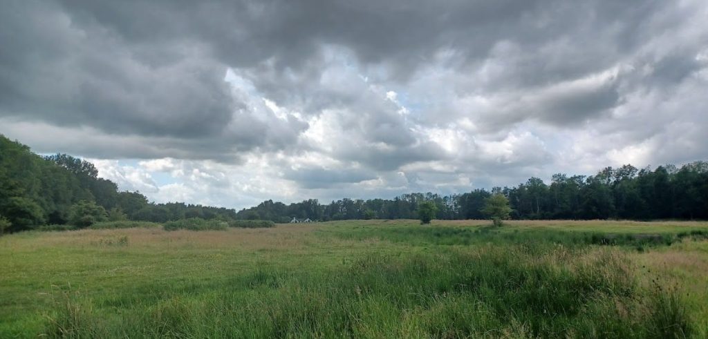 Ennemaborg