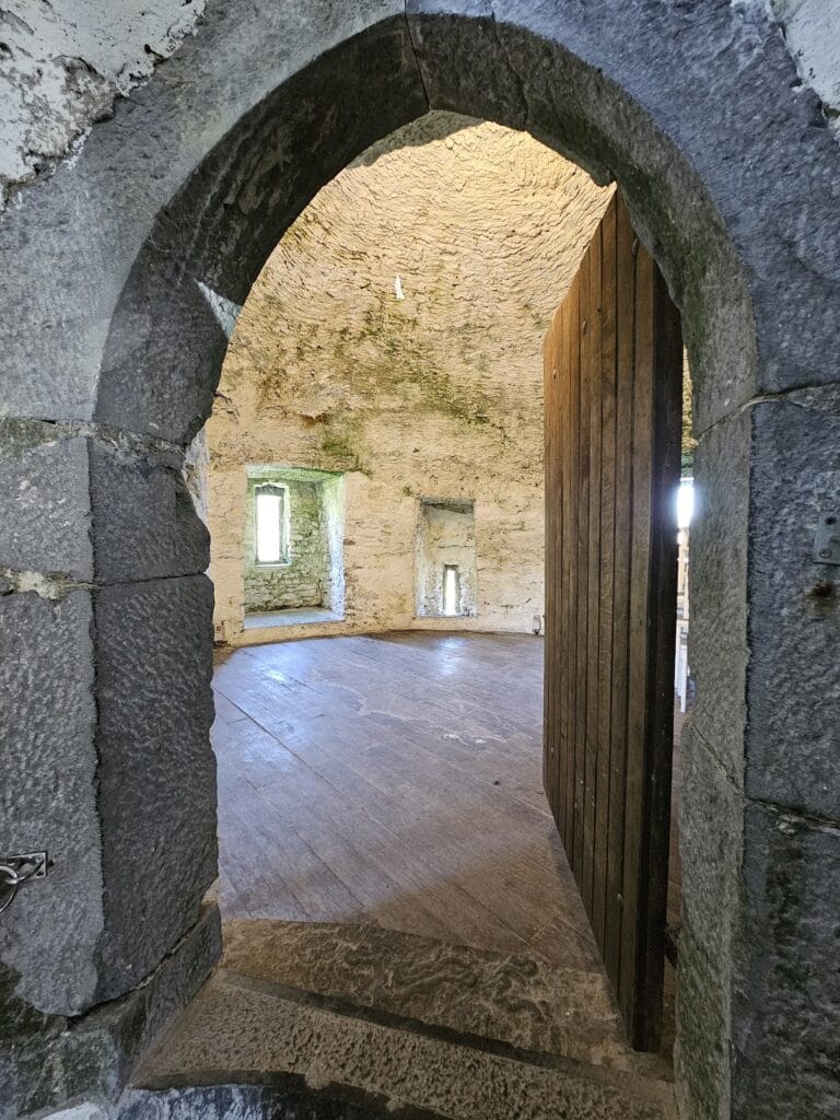 Newtown Castle