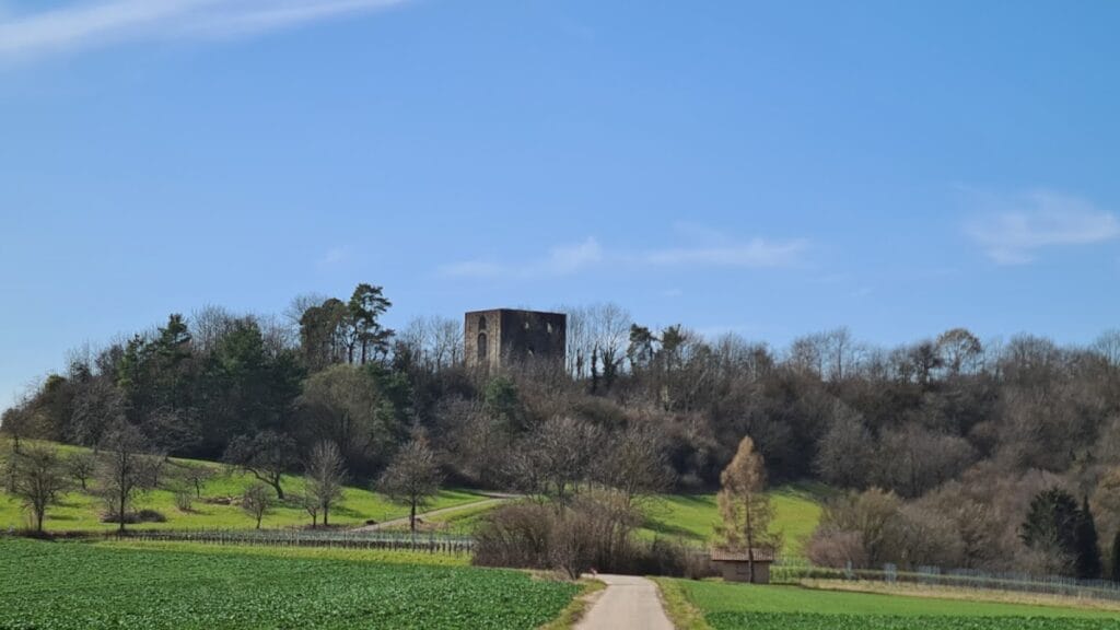 Burg Wildeck, Abstatt: A Medieval Spur Castle and Wine Estate 5 Burg Wildeck, Abstatt