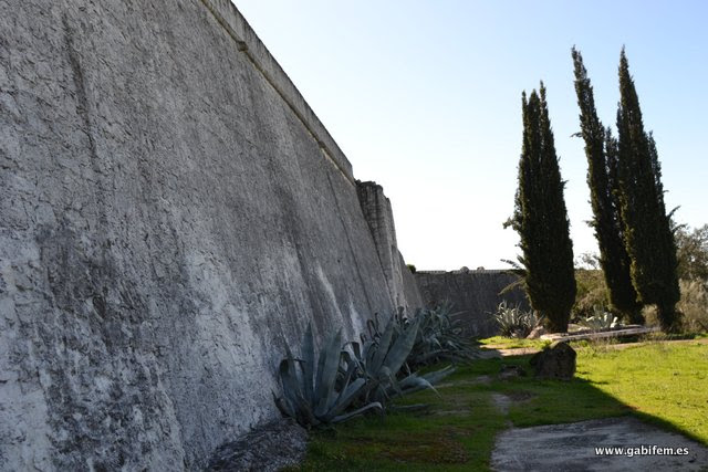 Castle of Crato: A Medieval Fortress in Portugal 10 Castle of Crato