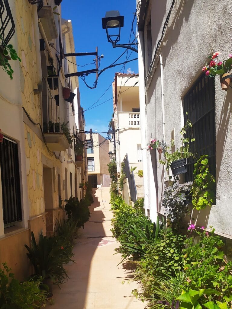 Castell d'Amposta: A Historic Castle in Amposta, Spain 9 Castell d'Amposta