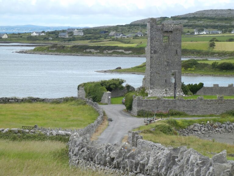 Shanmuckinish Castle: A 15th-Century Tower House in County Clare, Ireland