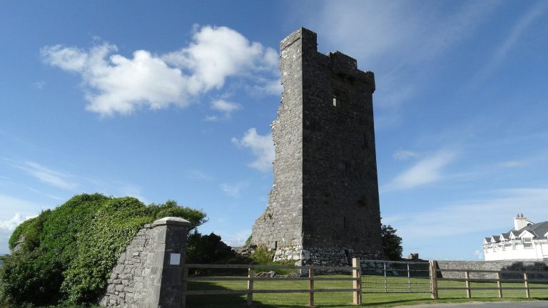 Shanmuckinish Castle: A Fifteenth-Century Tower House in Ireland